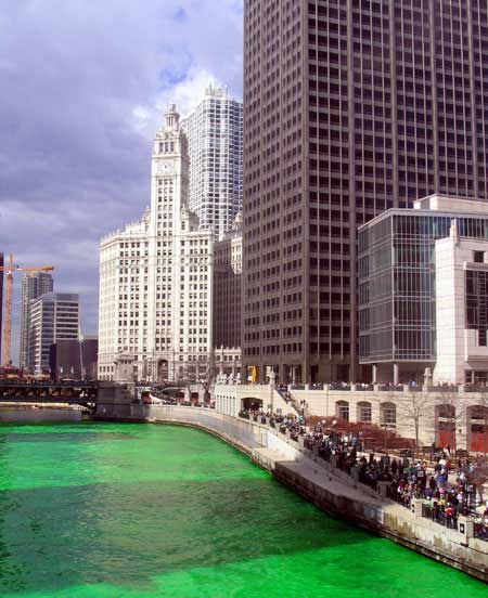 Each year thousands line the banks of the Chicago river to see it dyed green