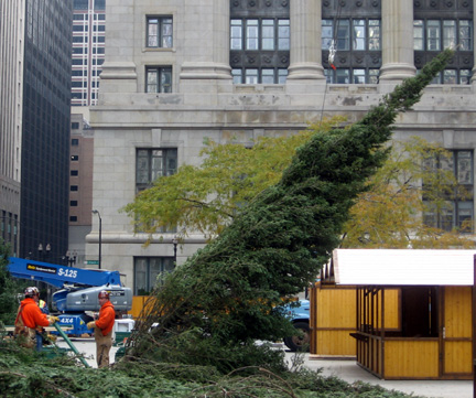 Christmas Tree, Daley Center Plaza, Chicago