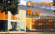Oedipus Rem: Rem Koolhaas at IIT
