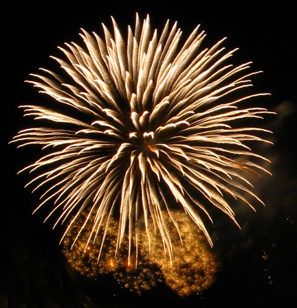 Fireworks, Grant Park, Chicago, 2008