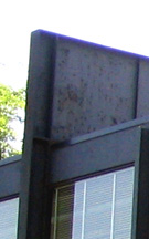 Mies van der Rohe Crown Hall IIT rusting paint on girder