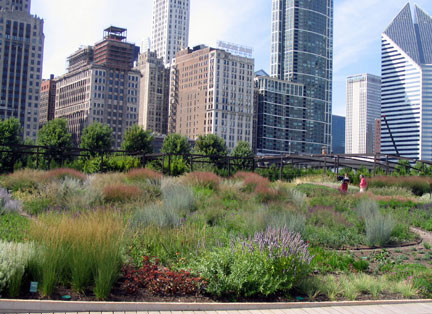 Lurie Gardens in Chicago's Millennium Park