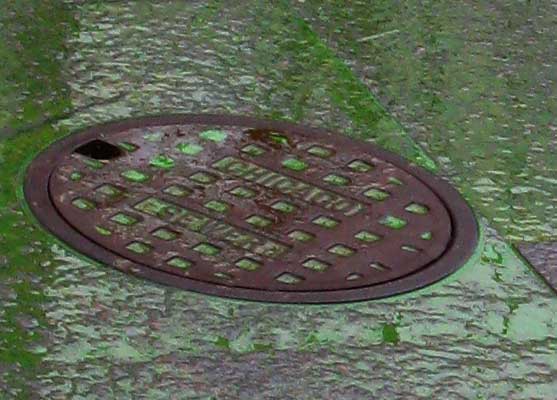 Sewer cover with green river water, as the Chicago River is dyed green for St. Patrick's day, March 13, 2010
