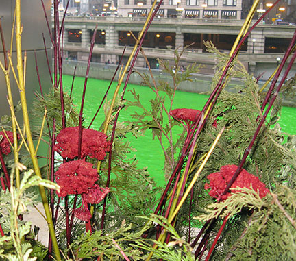 Red Flowers at Trump Tower as the Chicago River is dyed green for St. Patrick's day, March 13, 2010